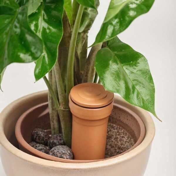 Self-watering olla Klinga - Image 2